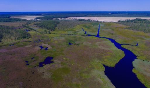 Photo of UNDER CONTRACT!  547 ac Waterfront Hunting Land For Sale in Beaufort County NC!