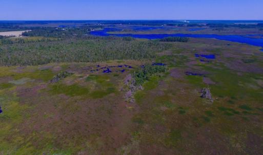 Photo of UNDER CONTRACT!  547 ac Waterfront Hunting Land For Sale in Beaufort County NC!