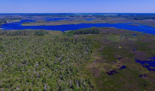 Photo of UNDER CONTRACT!  547 ac Waterfront Hunting Land For Sale in Beaufort County NC!