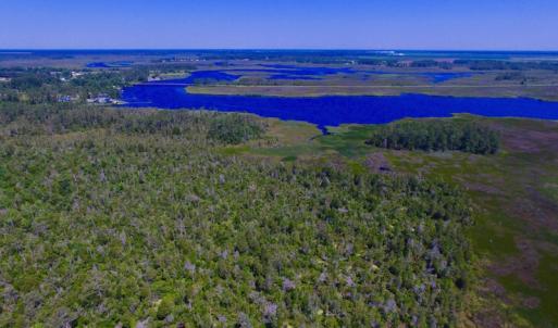 Photo of UNDER CONTRACT!  547 ac Waterfront Hunting Land For Sale in Beaufort County NC!
