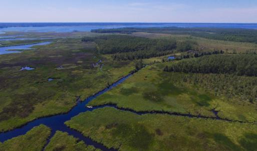 Photo of UNDER CONTRACT!  547 ac Waterfront Hunting Land For Sale in Beaufort County NC!