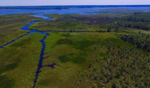 Photo of UNDER CONTRACT!  547 ac Waterfront Hunting Land For Sale in Beaufort County NC!