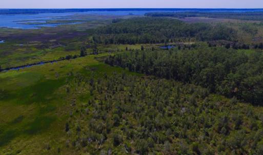 Photo of UNDER CONTRACT!  547 ac Waterfront Hunting Land For Sale in Beaufort County NC!