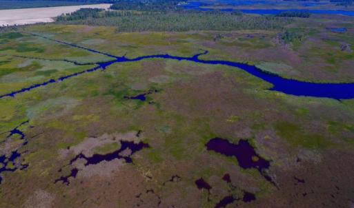 Photo of UNDER CONTRACT!  547 ac Waterfront Hunting Land For Sale in Beaufort County NC!