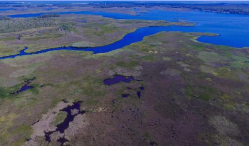 Photo of UNDER CONTRACT!  547 ac Waterfront Hunting Land For Sale in Beaufort County NC!