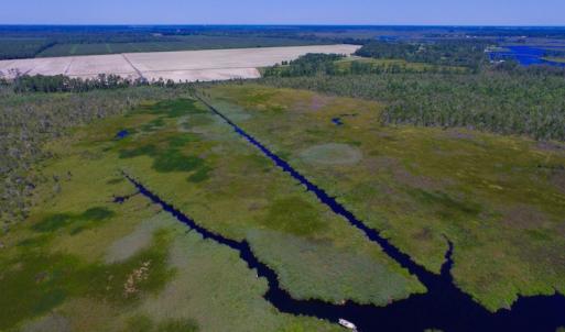 Photo of UNDER CONTRACT!  547 ac Waterfront Hunting Land For Sale in Beaufort County NC!