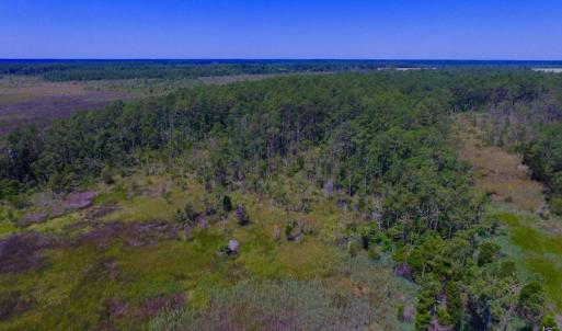 Photo of UNDER CONTRACT!  547 ac Waterfront Hunting Land For Sale in Beaufort County NC!