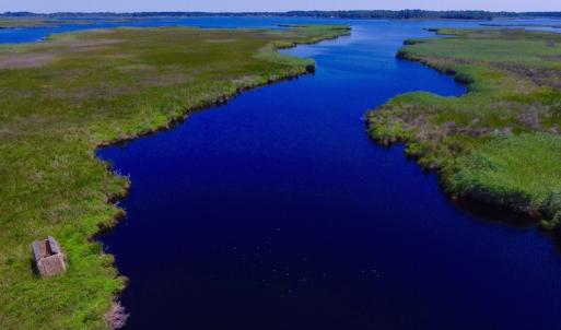 Photo of UNDER CONTRACT!  547 ac Waterfront Hunting Land For Sale in Beaufort County NC!