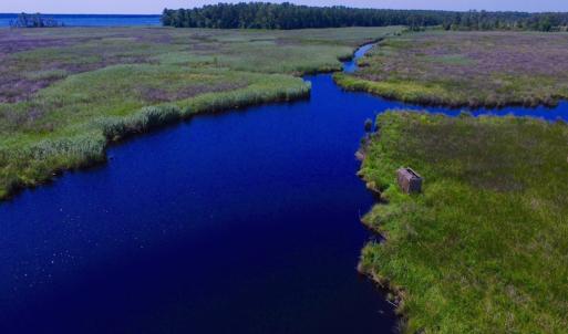 Photo of UNDER CONTRACT!  547 ac Waterfront Hunting Land For Sale in Beaufort County NC!