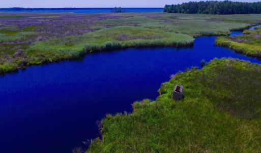 Photo of UNDER CONTRACT!  547 ac Waterfront Hunting Land For Sale in Beaufort County NC!