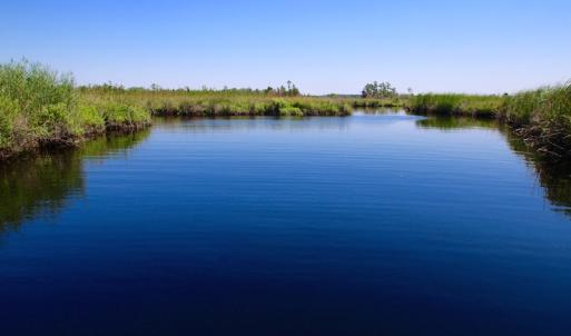 Photo of UNDER CONTRACT!  547 ac Waterfront Hunting Land For Sale in Beaufort County NC!
