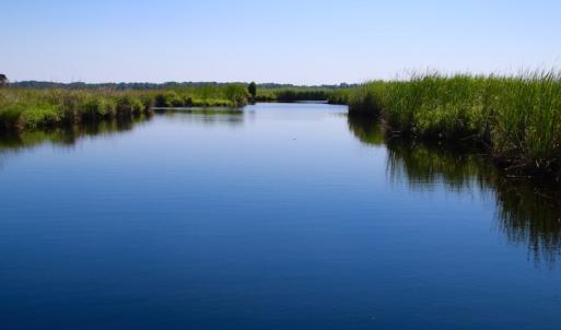 Photo of UNDER CONTRACT!  547 ac Waterfront Hunting Land For Sale in Beaufort County NC!