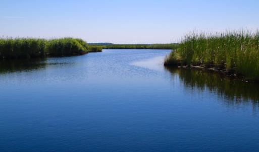 Photo of UNDER CONTRACT!  547 ac Waterfront Hunting Land For Sale in Beaufort County NC!