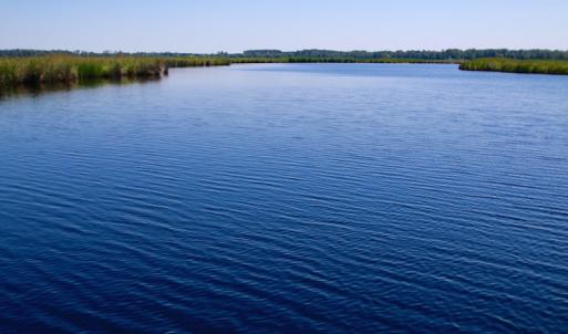 Photo of UNDER CONTRACT!  547 ac Waterfront Hunting Land For Sale in Beaufort County NC!