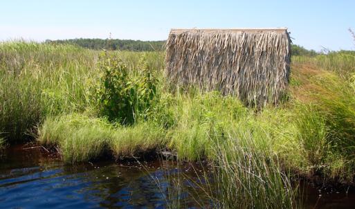Photo of UNDER CONTRACT!  547 ac Waterfront Hunting Land For Sale in Beaufort County NC!