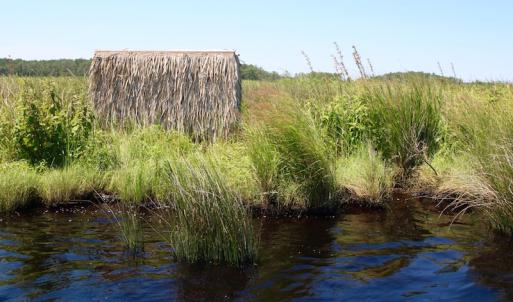 Photo of UNDER CONTRACT!  547 ac Waterfront Hunting Land For Sale in Beaufort County NC!
