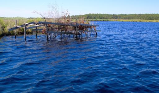 Photo of UNDER CONTRACT!  547 ac Waterfront Hunting Land For Sale in Beaufort County NC!