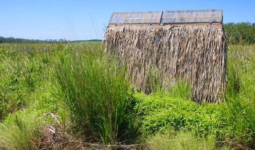 Photo of UNDER CONTRACT!  547 ac Waterfront Hunting Land For Sale in Beaufort County NC!