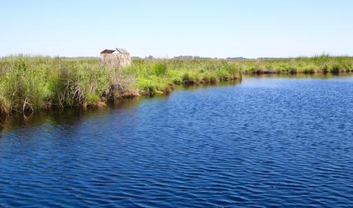 Photo of UNDER CONTRACT!  547 ac Waterfront Hunting Land For Sale in Beaufort County NC!