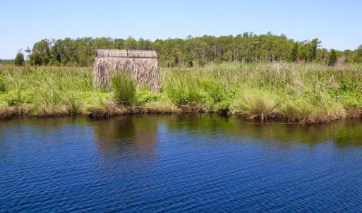 Photo of UNDER CONTRACT!  547 ac Waterfront Hunting Land For Sale in Beaufort County NC!