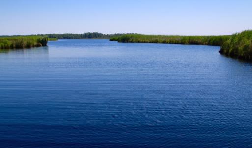 Photo of UNDER CONTRACT!  547 ac Waterfront Hunting Land For Sale in Beaufort County NC!