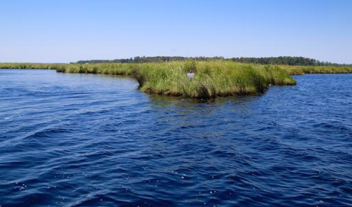 Photo of UNDER CONTRACT!  547 ac Waterfront Hunting Land For Sale in Beaufort County NC!