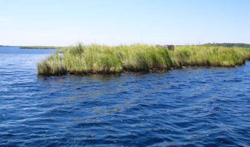 Photo of UNDER CONTRACT!  547 ac Waterfront Hunting Land For Sale in Beaufort County NC!