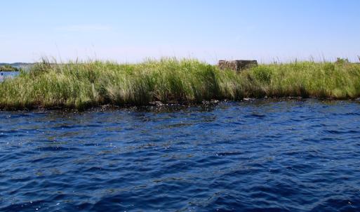 Photo of UNDER CONTRACT!  547 ac Waterfront Hunting Land For Sale in Beaufort County NC!