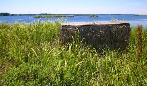 Photo of UNDER CONTRACT!  547 ac Waterfront Hunting Land For Sale in Beaufort County NC!