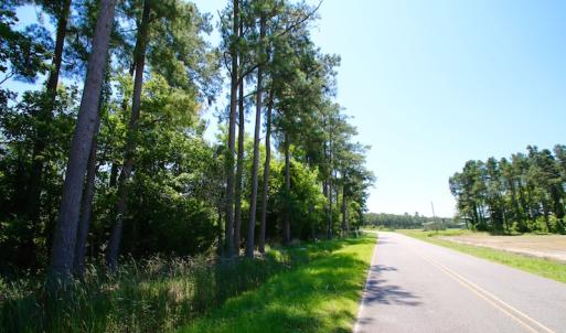 Photo of UNDER CONTRACT!  547 ac Waterfront Hunting Land For Sale in Beaufort County NC!