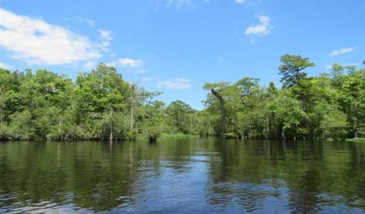Photo of UNDER CONTRACT!  65 Acres of Hunting and Residential Land For Sale in Horry County SC!