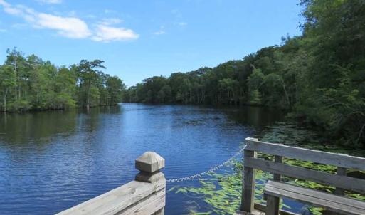 Photo of UNDER CONTRACT!  65 Acres of Hunting and Residential Land For Sale in Horry County SC!