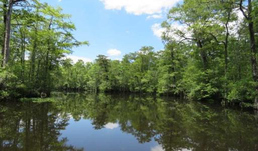 Photo of UNDER CONTRACT!  65 Acres of Hunting and Residential Land For Sale in Horry County SC!