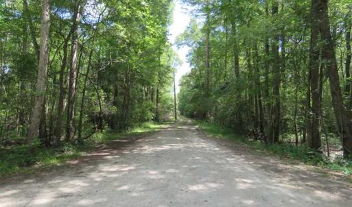 Photo of UNDER CONTRACT!  65 Acres of Hunting and Residential Land For Sale in Horry County SC!