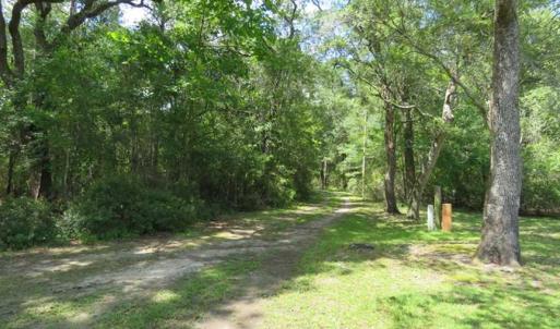 Photo of UNDER CONTRACT!  65 Acres of Hunting and Residential Land For Sale in Horry County SC!
