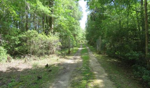 Photo of UNDER CONTRACT!  65 Acres of Hunting and Residential Land For Sale in Horry County SC!