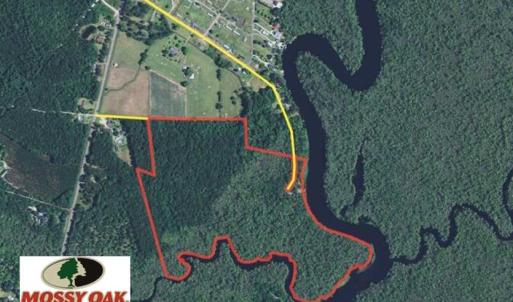 Photo of UNDER CONTRACT!  65 Acres of Hunting and Residential Land For Sale in Horry County SC!