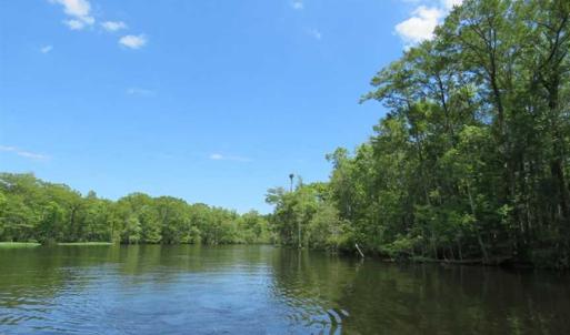 Photo of UNDER CONTRACT!  65 Acres of Hunting and Residential Land For Sale in Horry County SC!