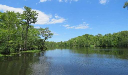 Photo of UNDER CONTRACT!  65 Acres of Hunting and Residential Land For Sale in Horry County SC!