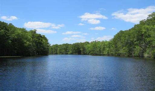 Photo of UNDER CONTRACT!  65 Acres of Hunting and Residential Land For Sale in Horry County SC!