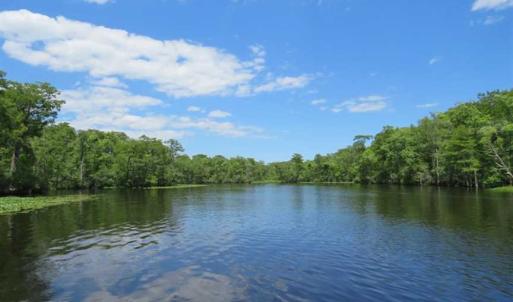 Photo of UNDER CONTRACT!  65 Acres of Hunting and Residential Land For Sale in Horry County SC!