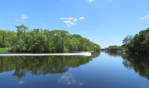 Photo of UNDER CONTRACT!  65 Acres of Hunting and Residential Land For Sale in Horry County SC!