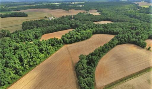 Photo of UNDER CONTRACT!  53.5 Acres of Farm and Timber Land with Building For Sale In Wayne County NC!