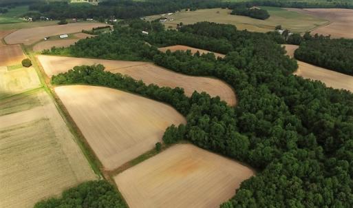 Photo of UNDER CONTRACT!  53.5 Acres of Farm and Timber Land with Building For Sale In Wayne County NC!