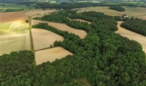 Photo of UNDER CONTRACT!  53.5 Acres of Farm and Timber Land with Building For Sale In Wayne County NC!