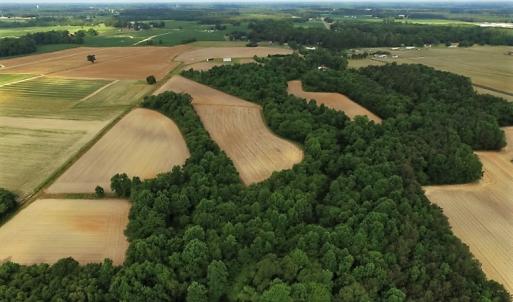 Photo of UNDER CONTRACT!  53.5 Acres of Farm and Timber Land with Building For Sale In Wayne County NC!