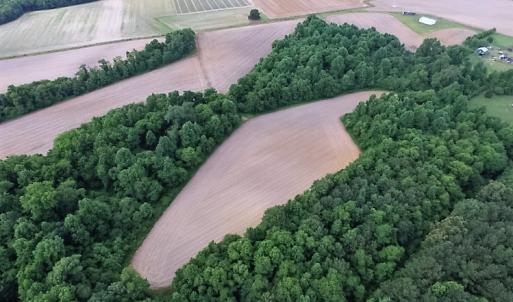 Photo of UNDER CONTRACT!  53.5 Acres of Farm and Timber Land with Building For Sale In Wayne County NC!