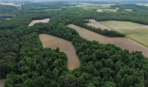 Photo of UNDER CONTRACT!  53.5 Acres of Farm and Timber Land with Building For Sale In Wayne County NC!
