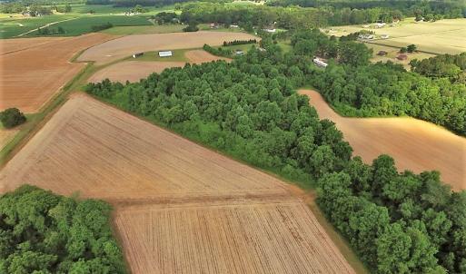 Photo of UNDER CONTRACT!  53.5 Acres of Farm and Timber Land with Building For Sale In Wayne County NC!