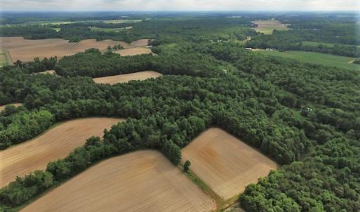 Photo of UNDER CONTRACT!  53.5 Acres of Farm and Timber Land with Building For Sale In Wayne County NC!